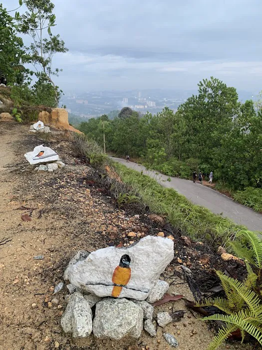 Sg Long Hike Peak Picture 6
