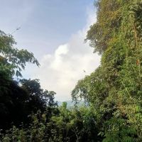 Ulu sokor ico