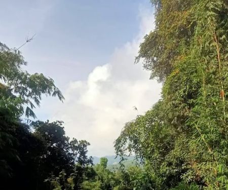 Ulu sokor