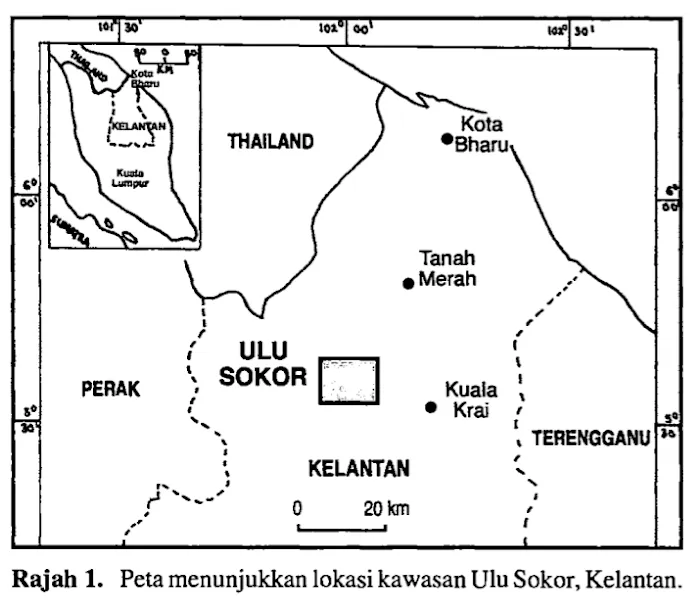 Ulu sokor Picture 4