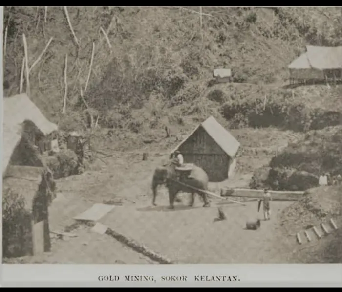 Ulu sokor Picture 6