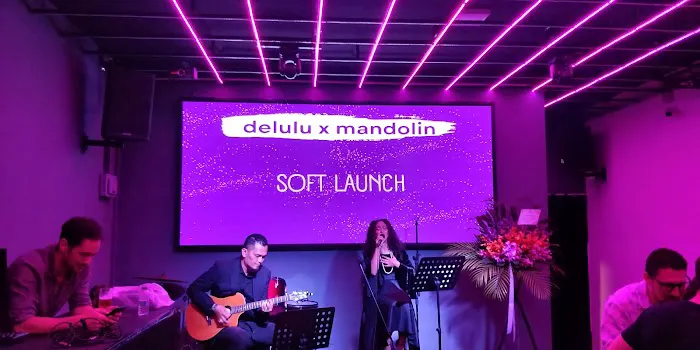 Delulu X Mandolin Picture 7