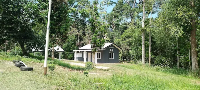 Ckd chemekau Picture 8