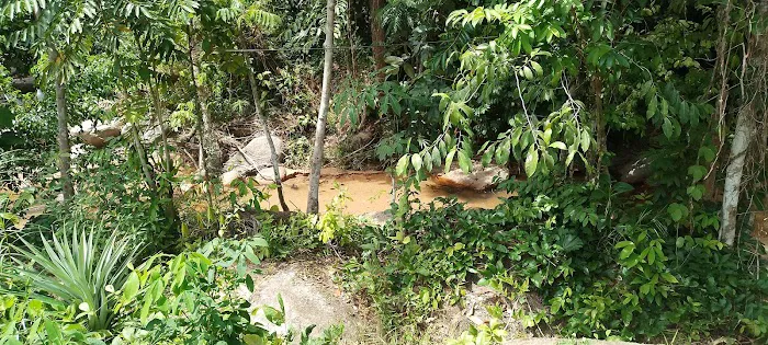 Ckd chemekau Picture 5