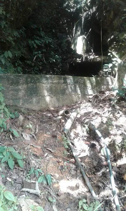 Hiking & View Point Bukit Jepun Dabong Picture 5