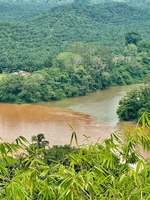 Hiking & View Point Bukit Jepun Dabong Picture 9