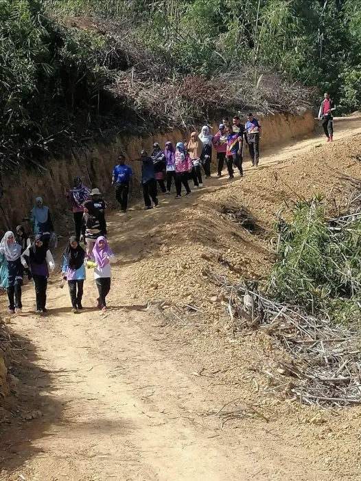 Hiking & View Point Bukit Jepun Dabong Picture 10