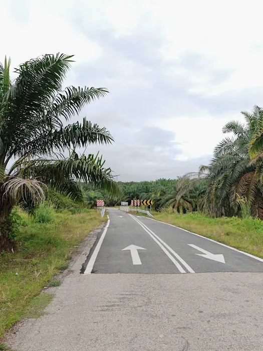 Kg Dusun Harmonis Picture 4
