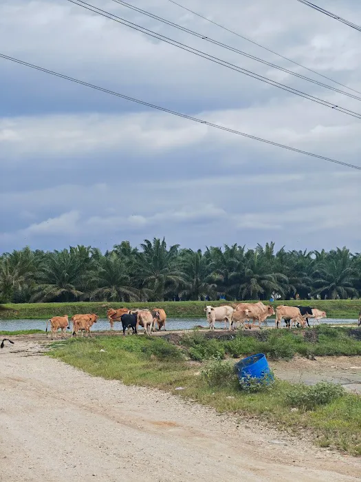 Kg Dusun Harmonis Picture 5