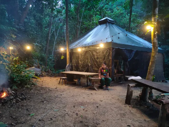 Hutan Alam Picture 2