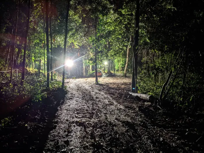Hutan Alam Picture 1