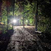 Hutan Alam ico