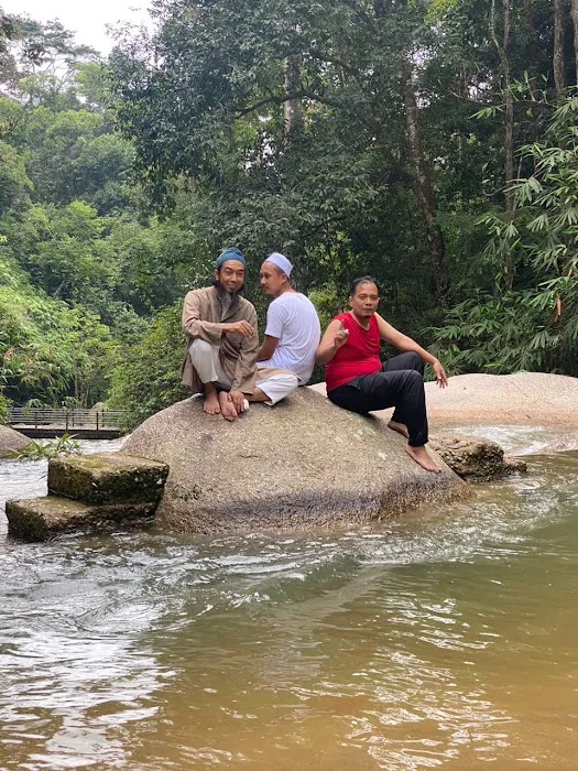 Hutan Lipur Latar Jarum, Ulu Dong, Raub, Pahang Picture 3
