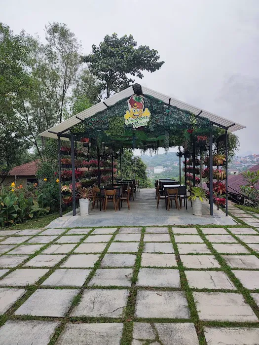 Nanas Agrofarm Picture 8