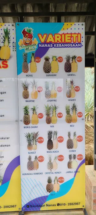 Nanas Agrofarm Picture 5