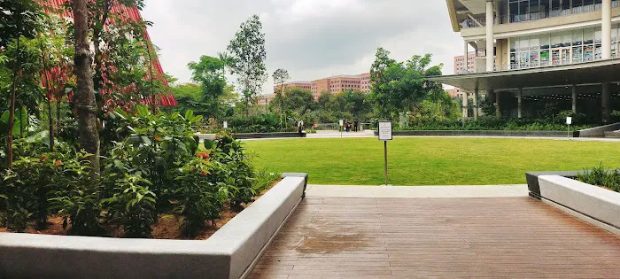 Alamanda Steps Picture 4