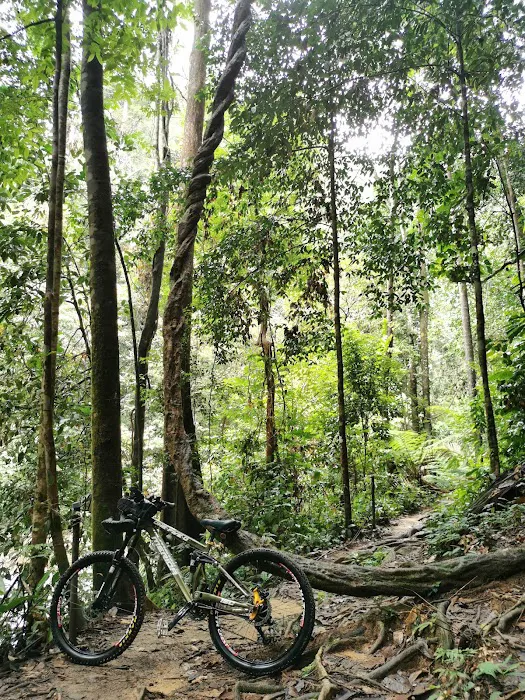 Trailhead Of Pelangi Trail Picture 3