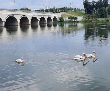 Tasik Angsa