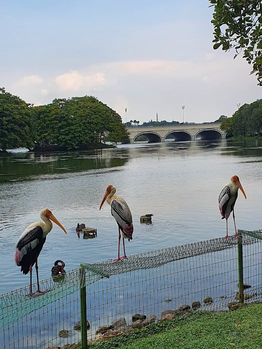 Tasik Angsa Picture 6