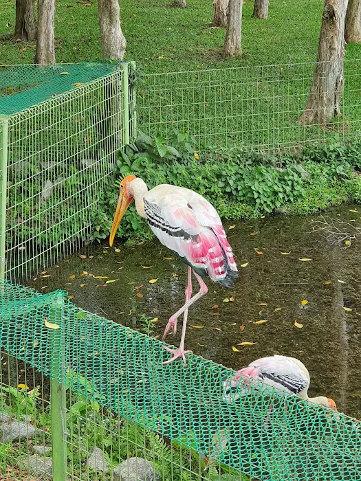 Tasik Angsa Picture 8
