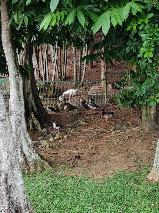 Tasik Angsa Picture 7