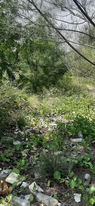 Hutan Simpan Kapar Tambahan Picture 2