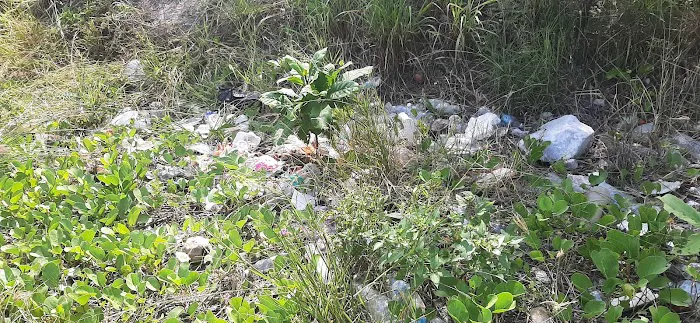 Hutan Simpan Kapar Tambahan Picture 9