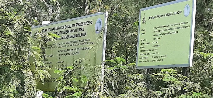 Hutan Simpan Kapar Tambahan Picture 6