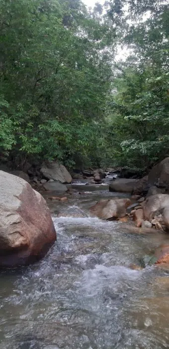 Jeram sg pohoi Picture 2