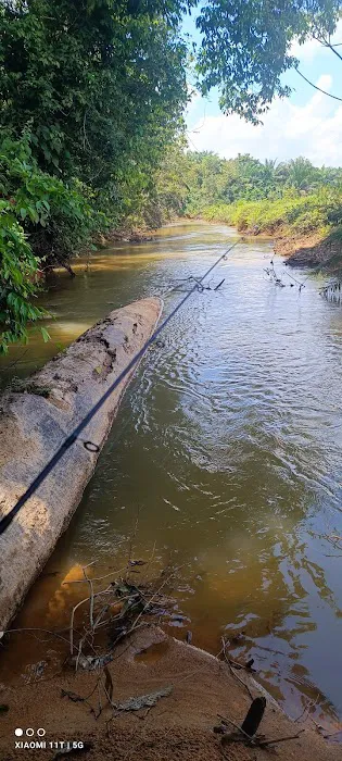 Port pancing kelah sbarau Picture 1