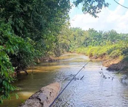 Port pancing kelah sbarau