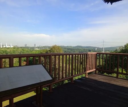The Lookout Tower