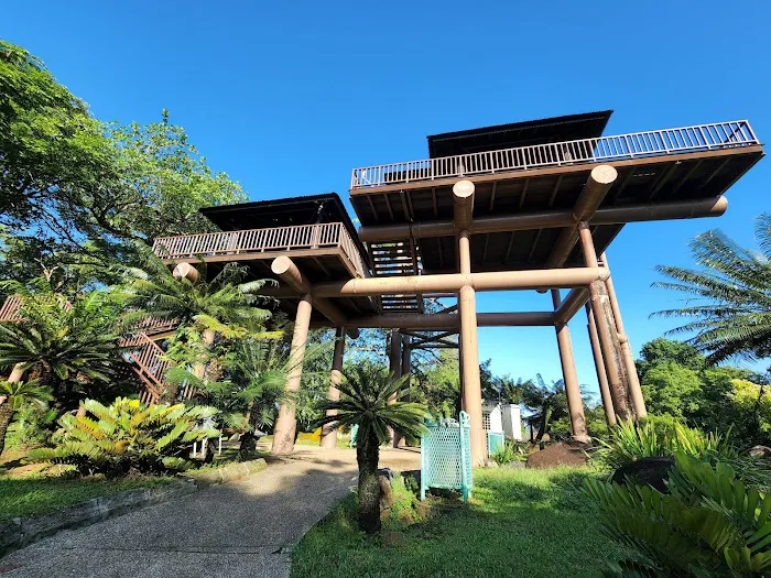 The Lookout Tower Picture 3