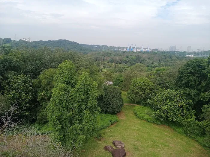 The Lookout Tower Picture 7