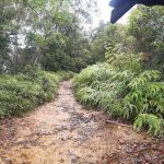 Starting Trail Bukit Panorama