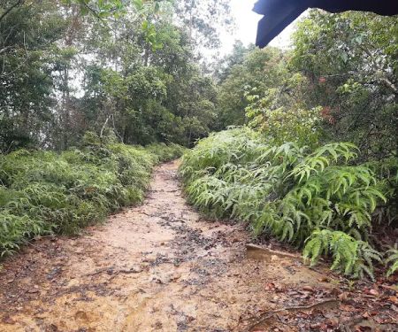 Starting Trail Bukit Panorama