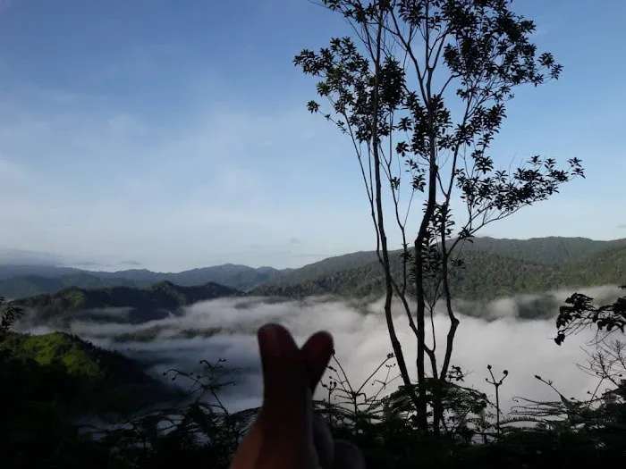 End Trail Bukit Panorama = Pondok Puncak Bukit Panorama Picture 2