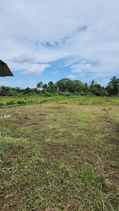 R9 Farming Picture 2