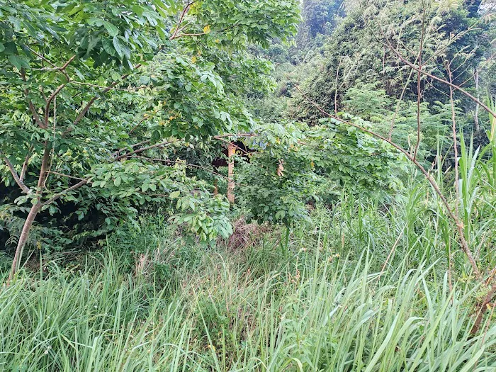 Jeram Hill Picture 10