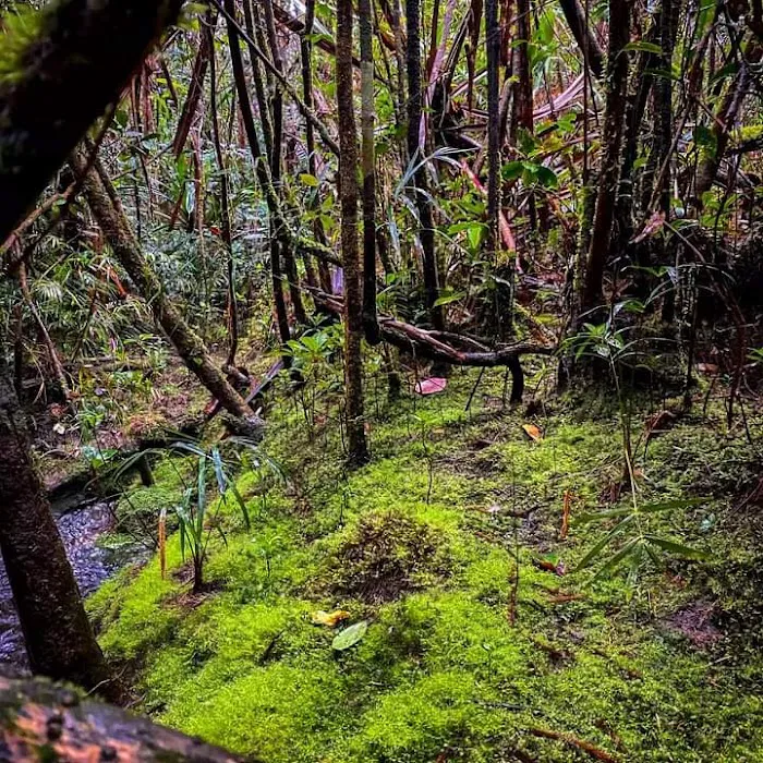 Gunung Tiga Beradik Picture 4
