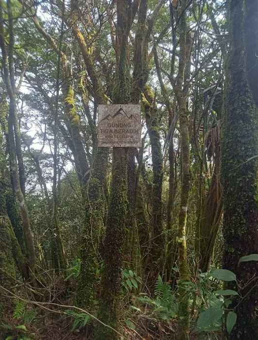 Gunung Tiga Beradik Picture 10