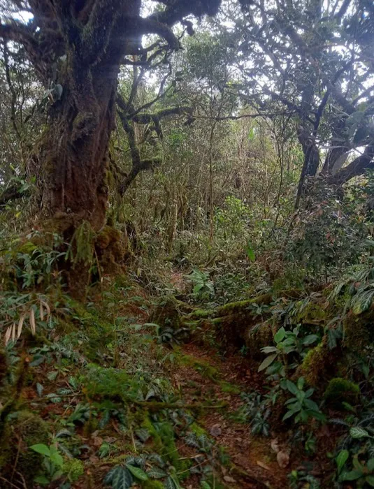 Gunung Tiga Beradik Picture 2