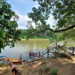 FAZRY GILL WAKE FOREST HERITAGE