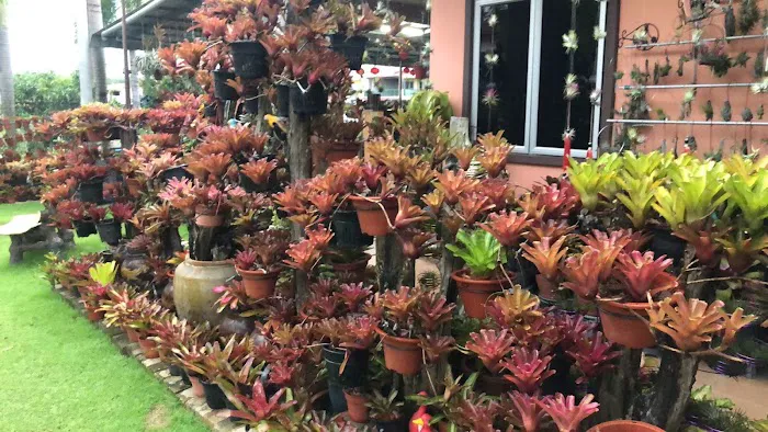 Taman Seroja Jaya Kemayan Picture 4