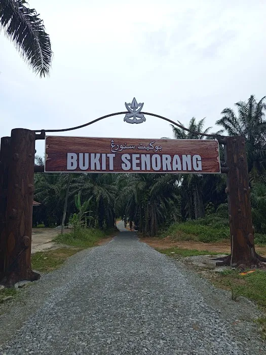 Bukit Senorang Kg Sri Hamzah Picture 3