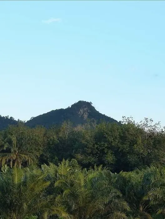 Bukit Senorang Kg Sri Hamzah Picture 4