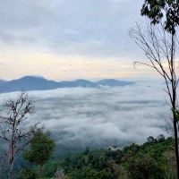 Bukit Senorang Kg Sri Hamzah ico