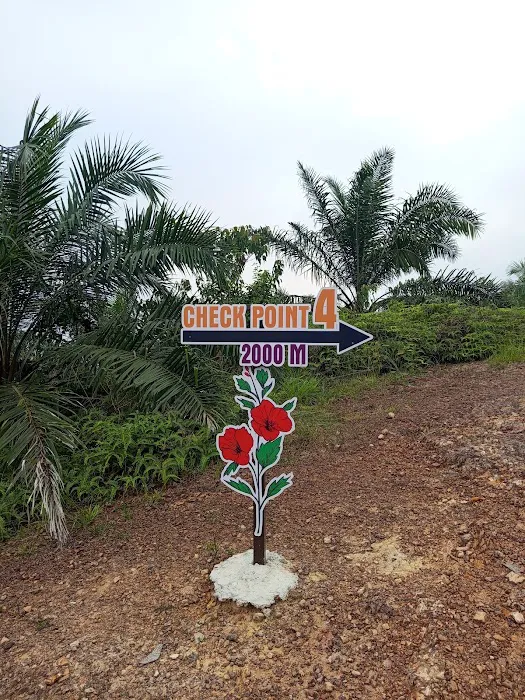 Bukit Senorang Kg Sri Hamzah Picture 7