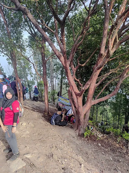 Bukit Senorang Kg Sri Hamzah Picture 9