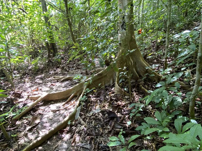Gua Keris (Keris Cave) Picture 7